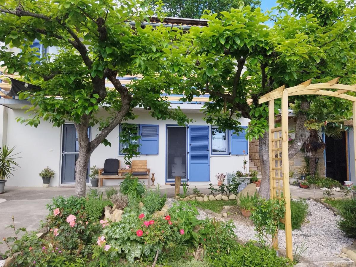 Apartma Salvia-Guest House Lucija Dış mekan fotoğraf
