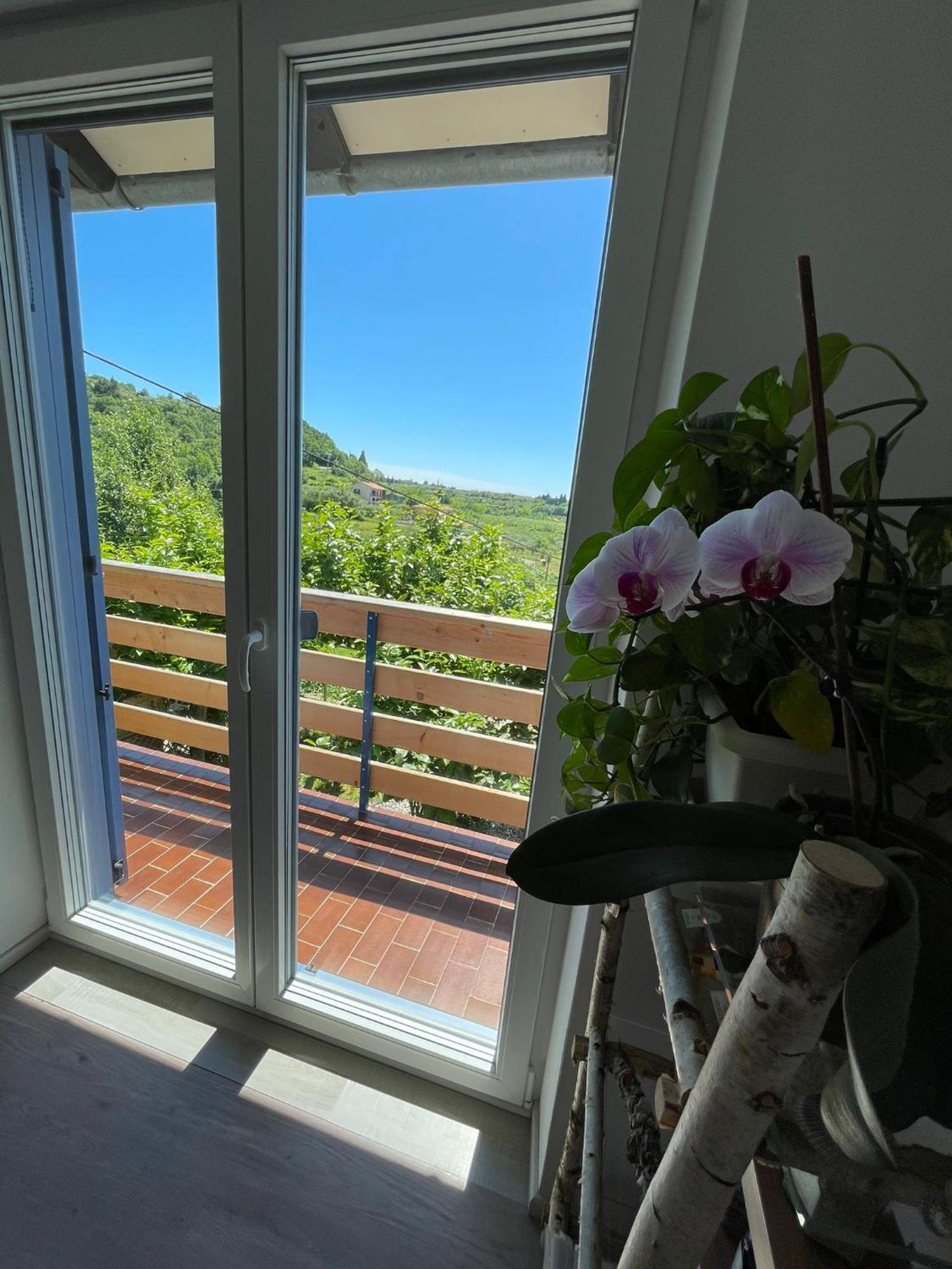 Apartma Salvia-Guest House Lucija Dış mekan fotoğraf